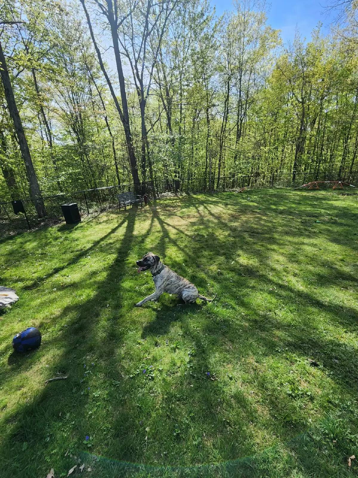 Property Image 6