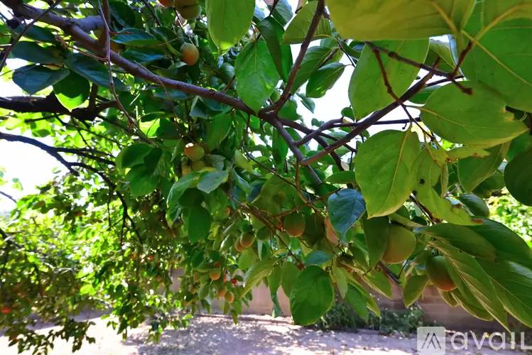 Property Image 67
