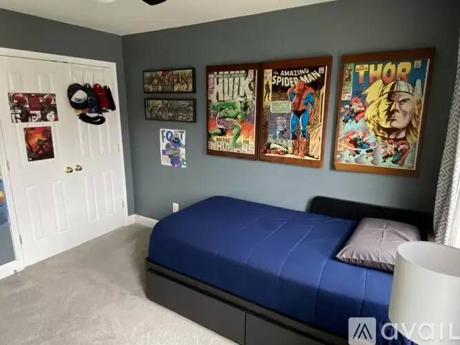Property Image 29