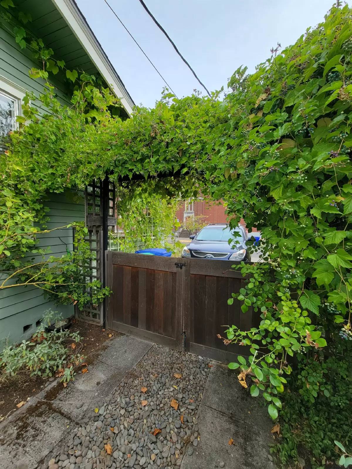 Property Image 32