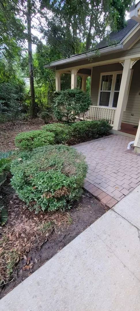 Property Image 58