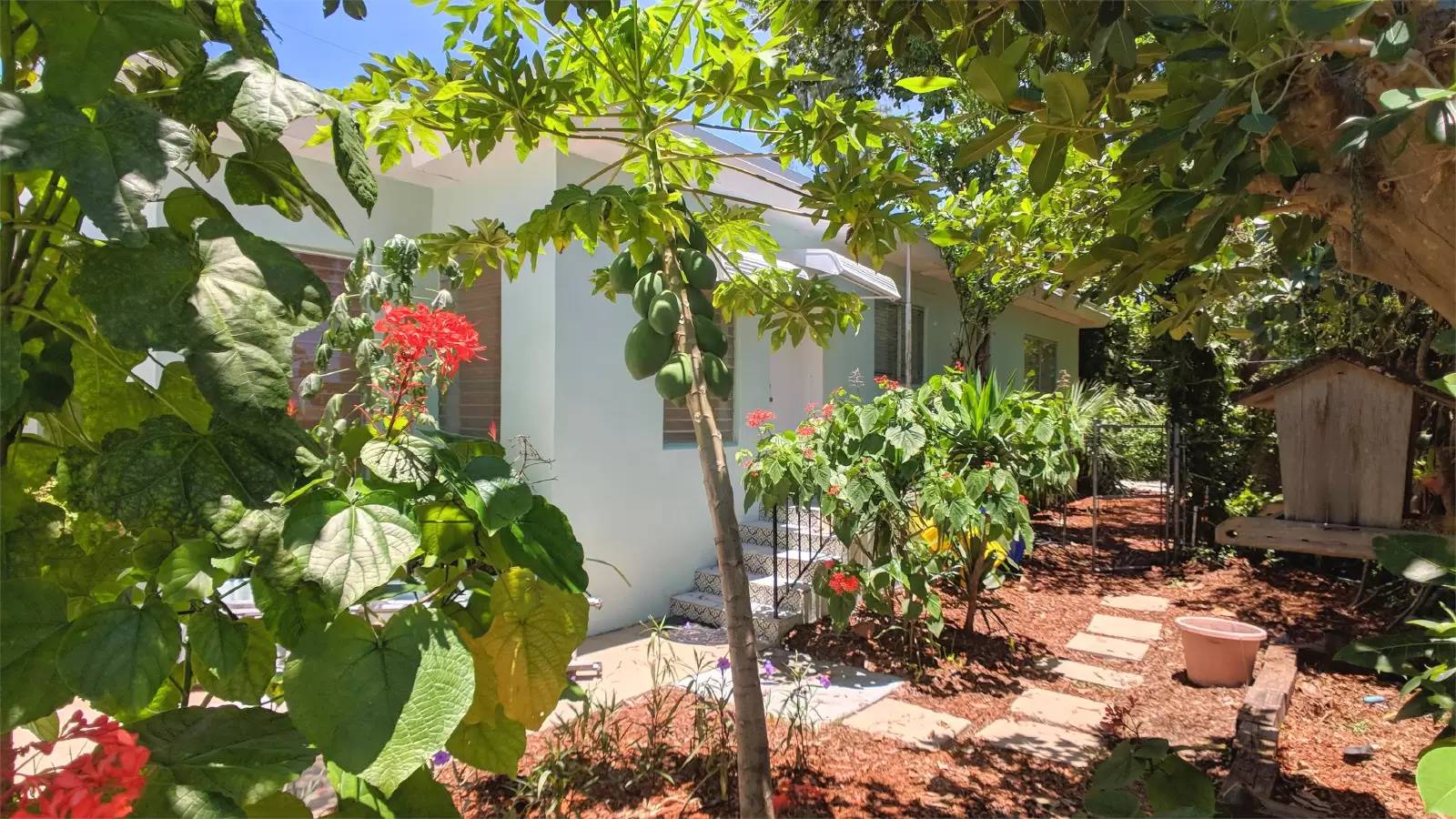 Property Image 7