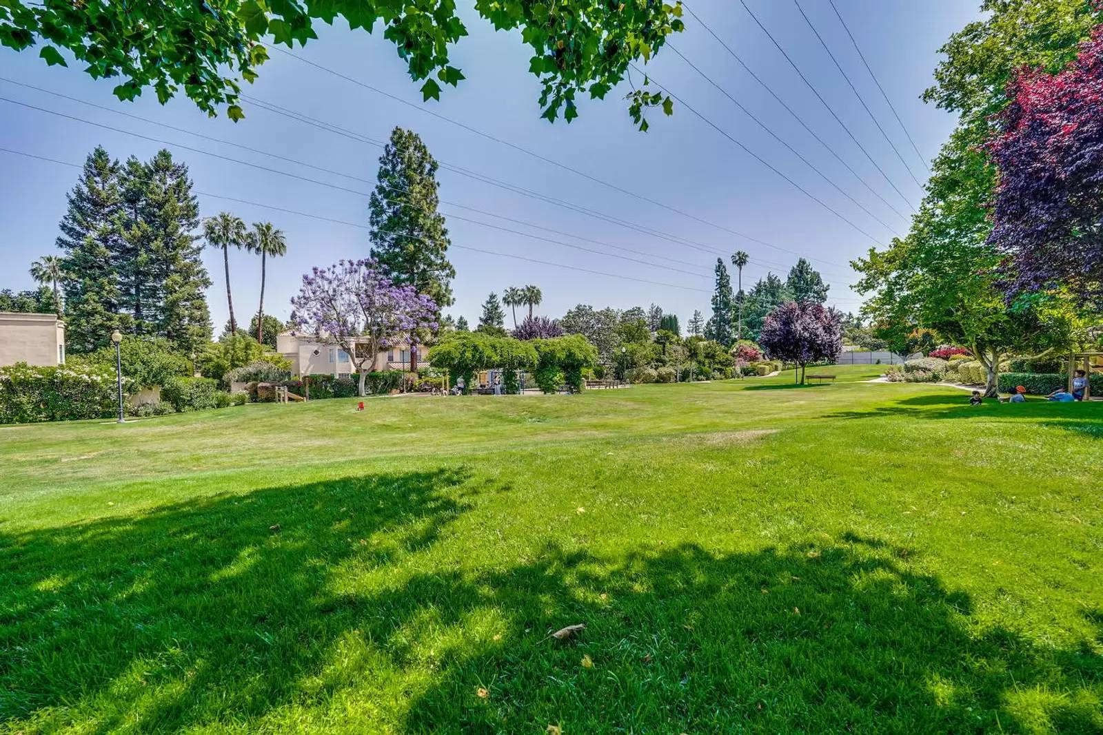 Property Image 90