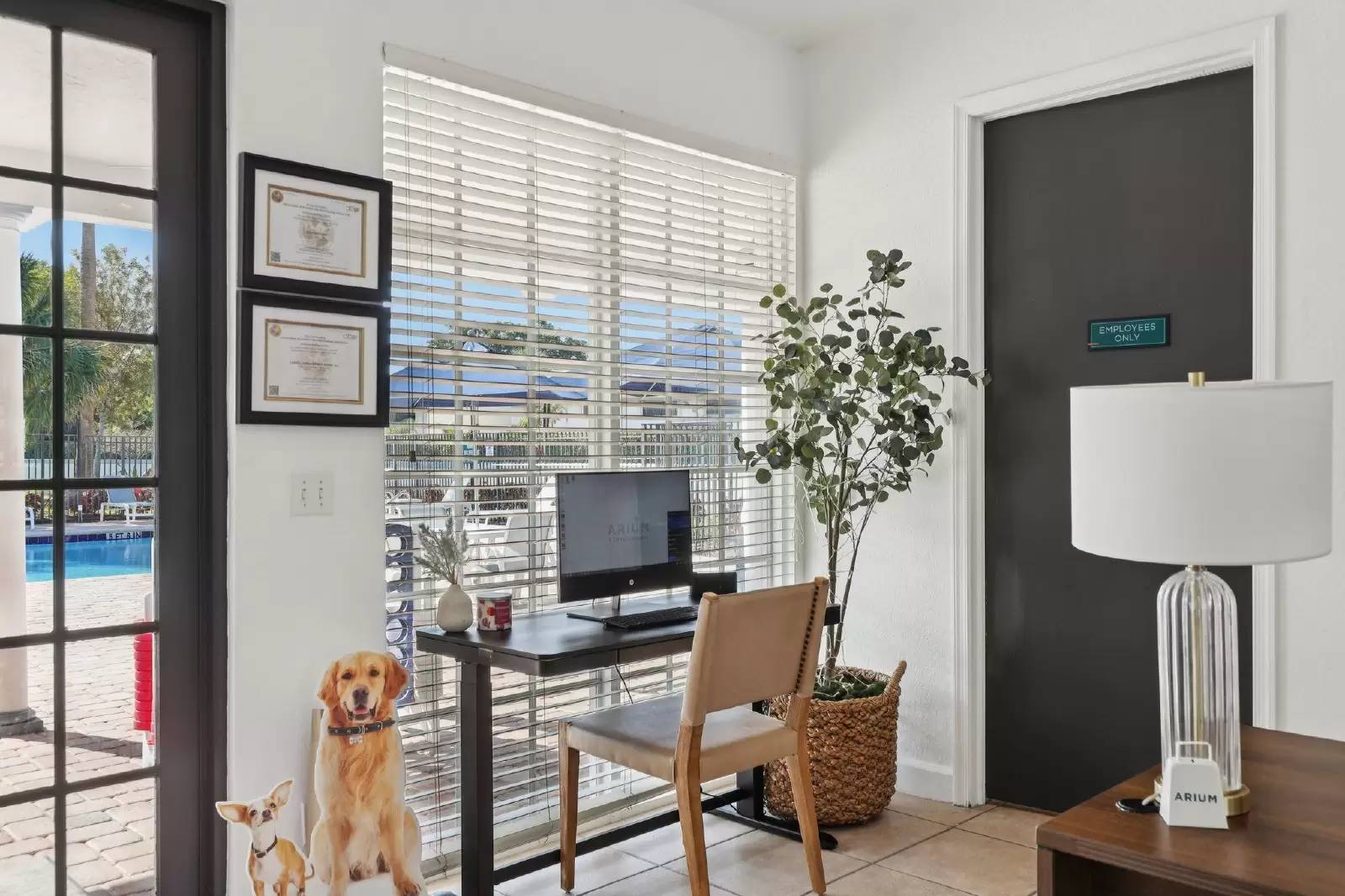 Property Image 22