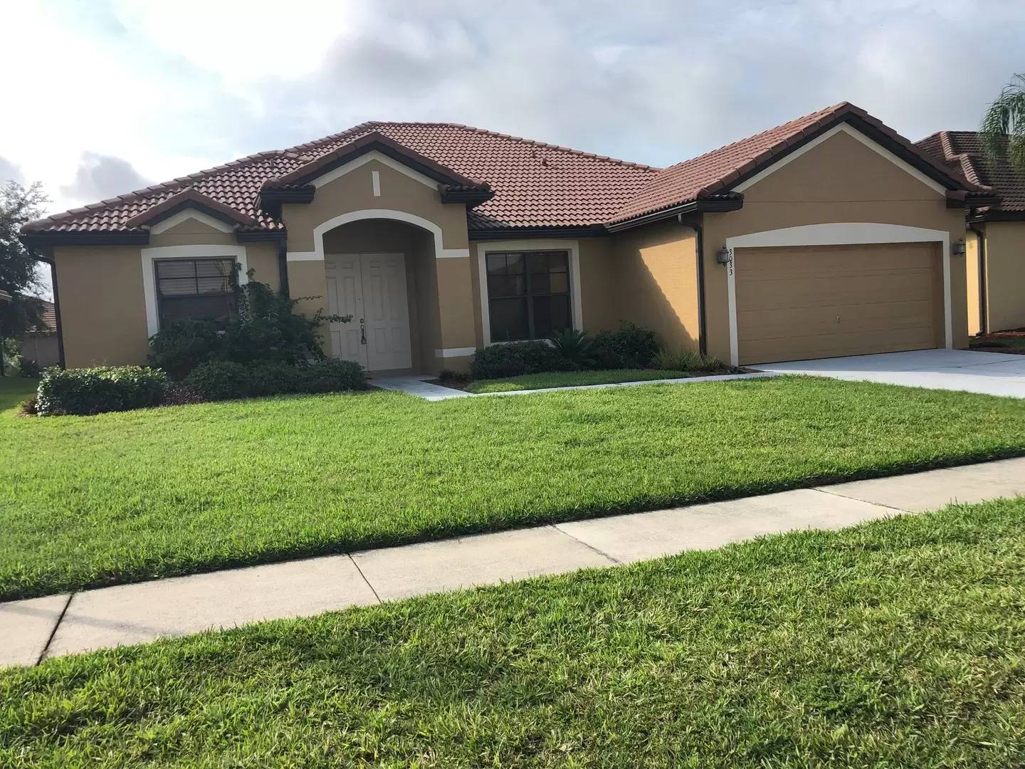 cover background