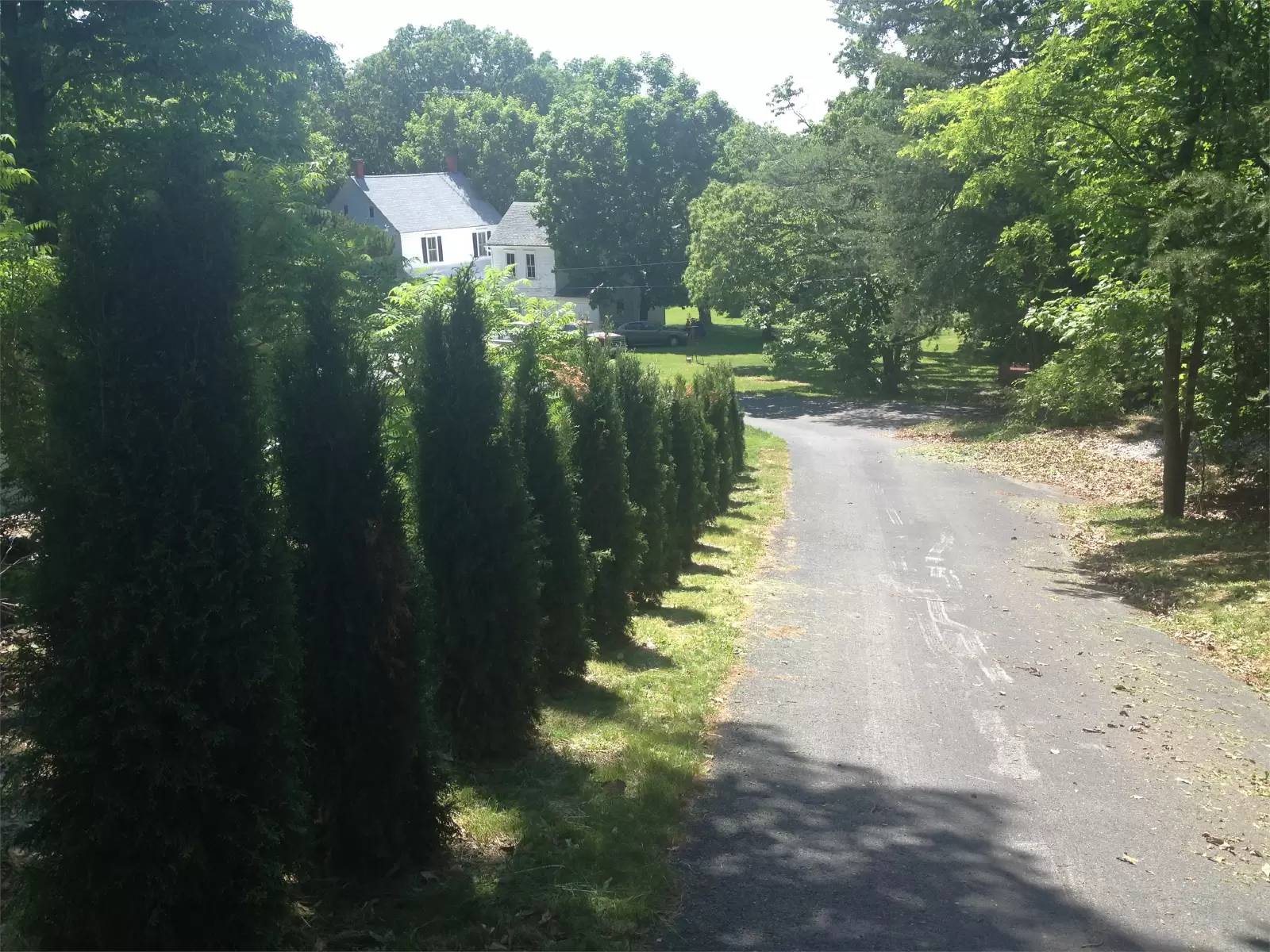 Property Image 14