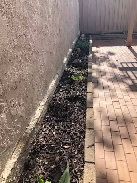 Property Image 64