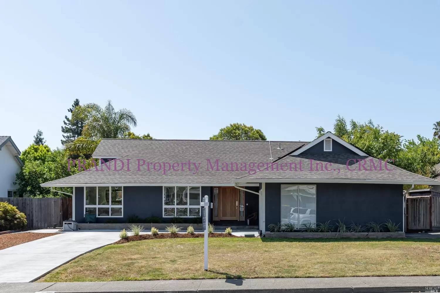 cover background