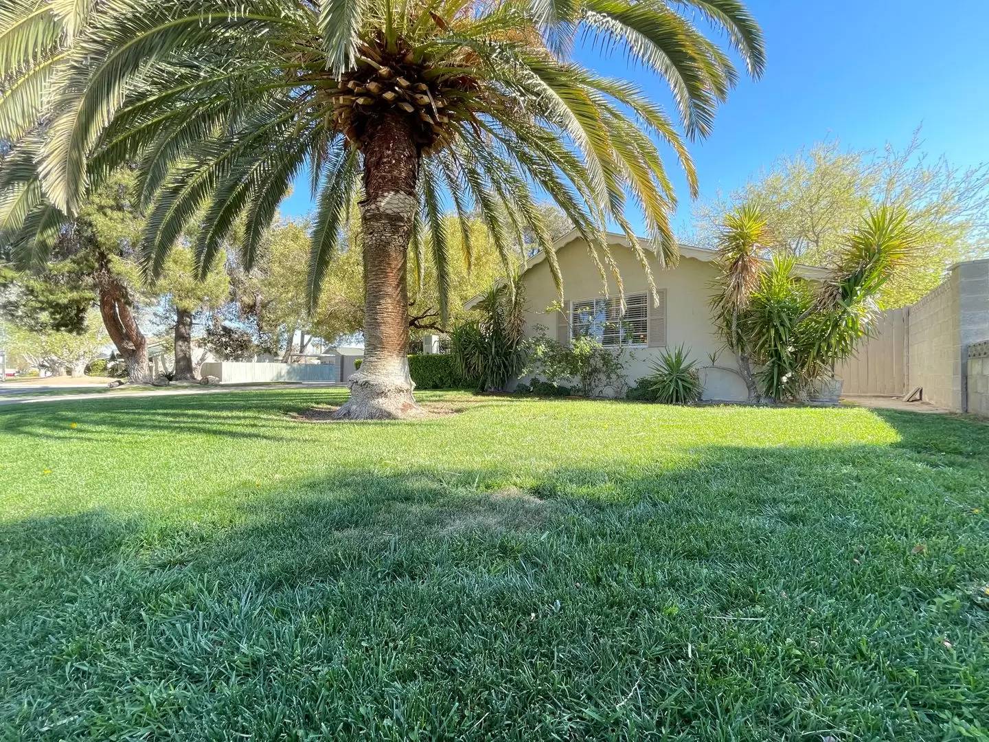cover background