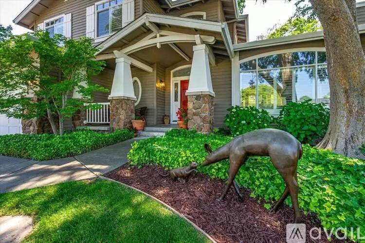 Property Image 55