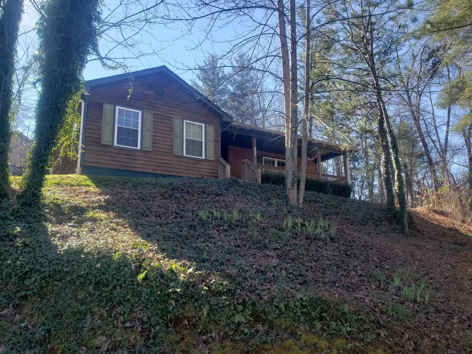 cover background