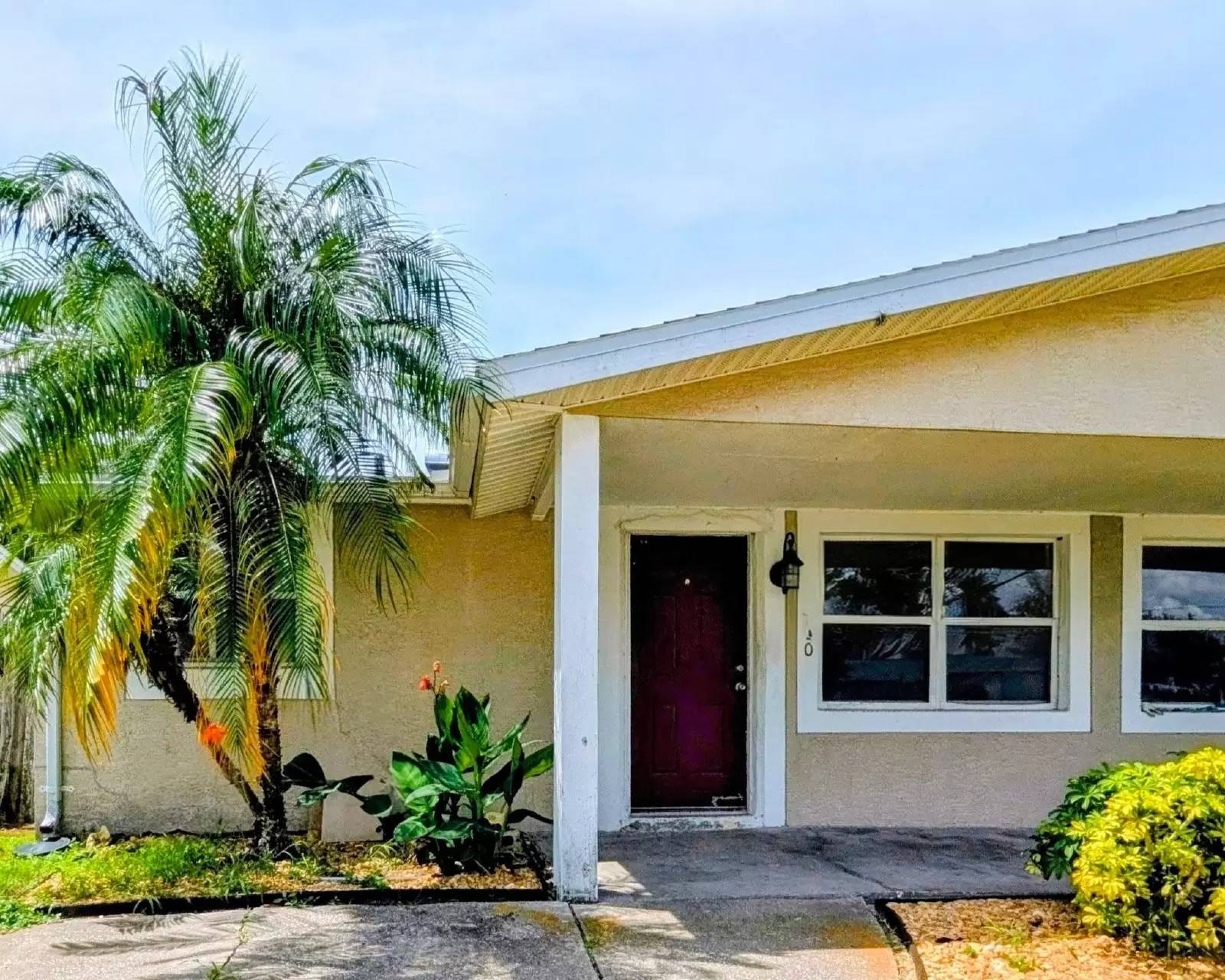 cover background
