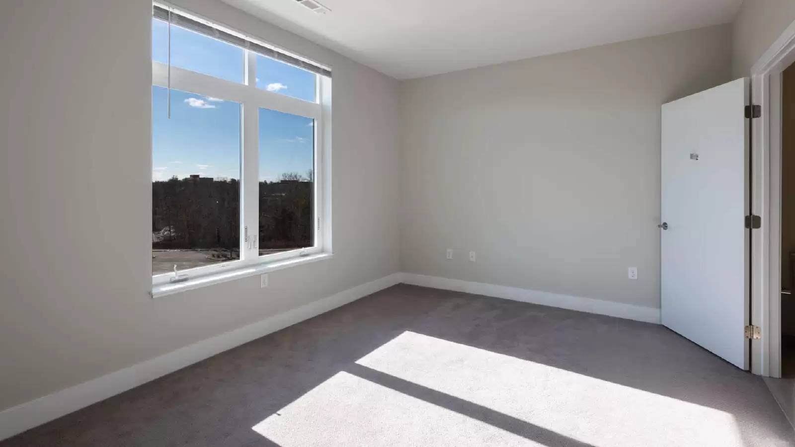 Property Image 81