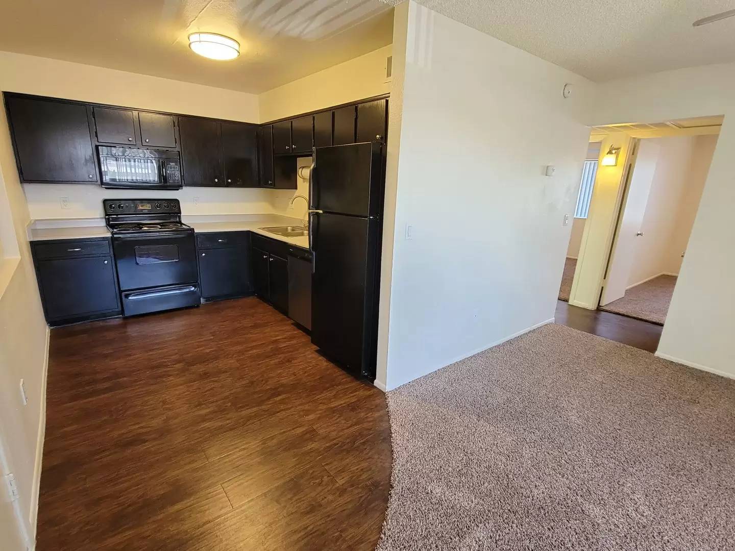 cover background