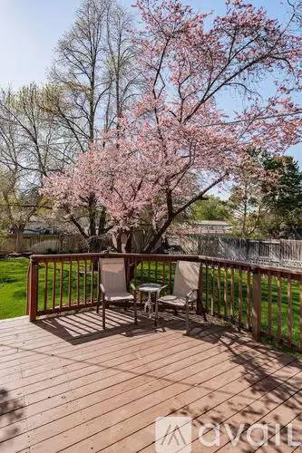 Property Image 58