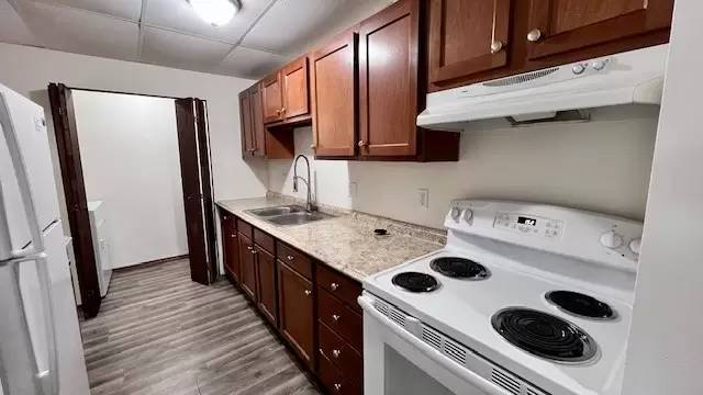 cover background