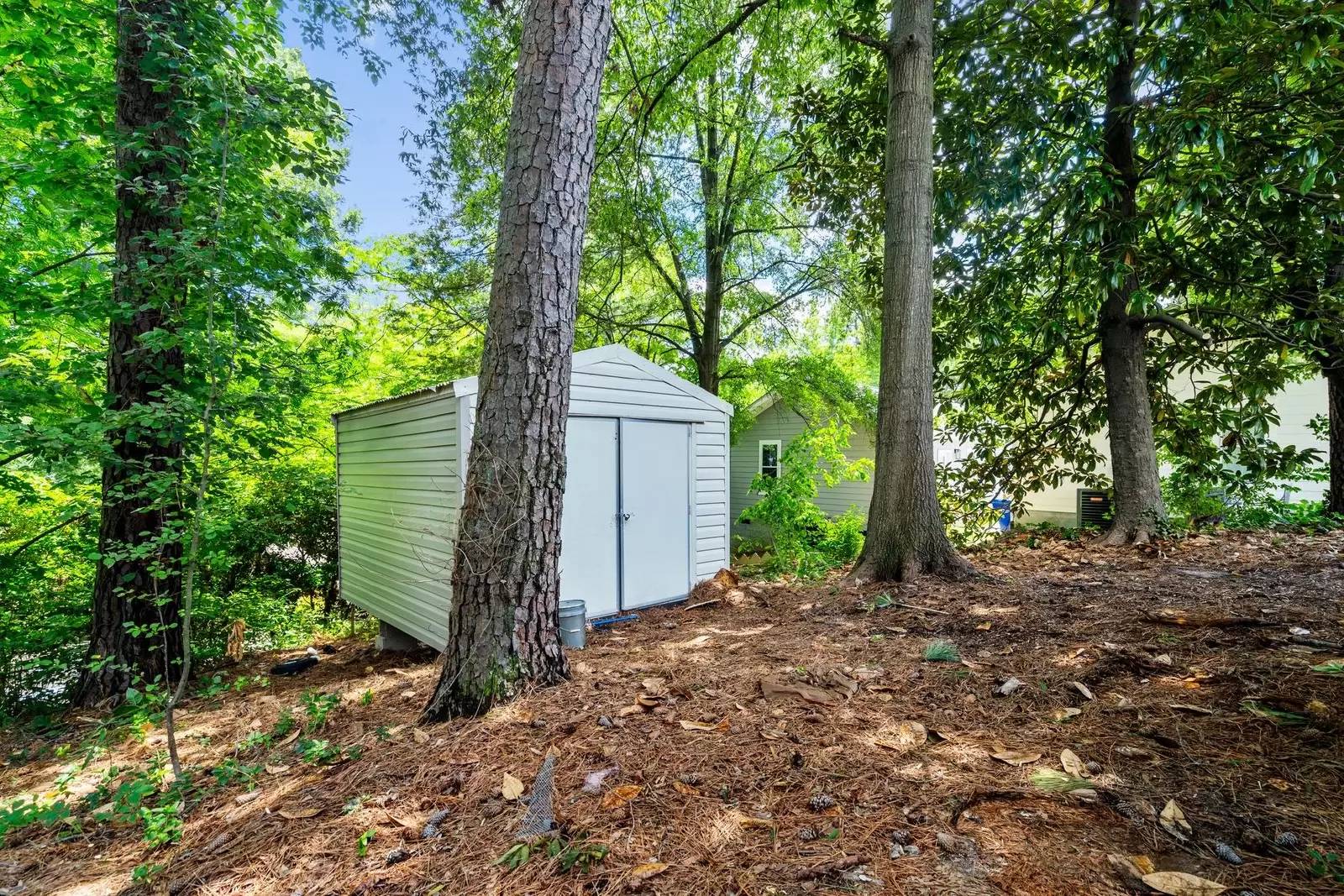 Property Image 23