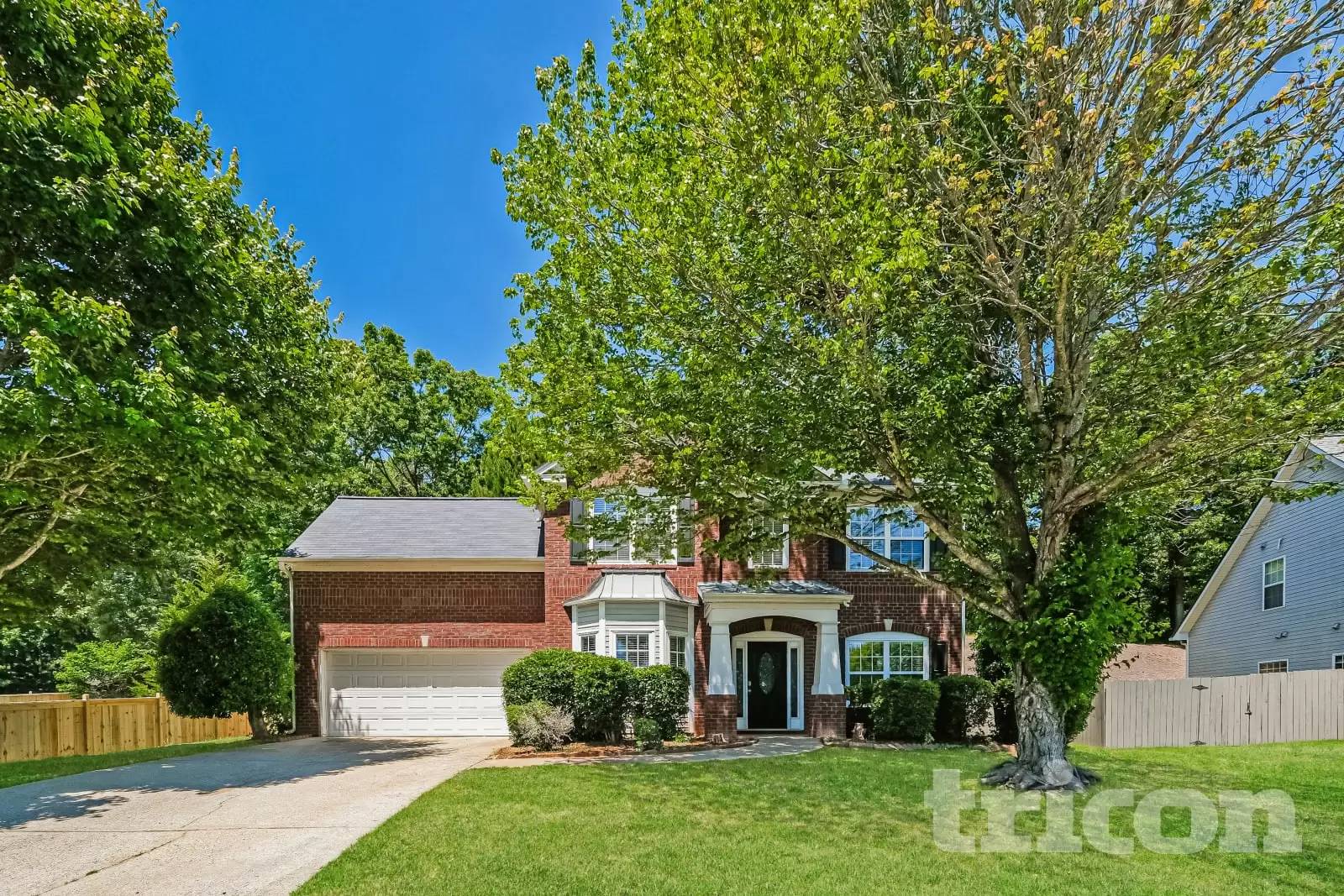 cover background