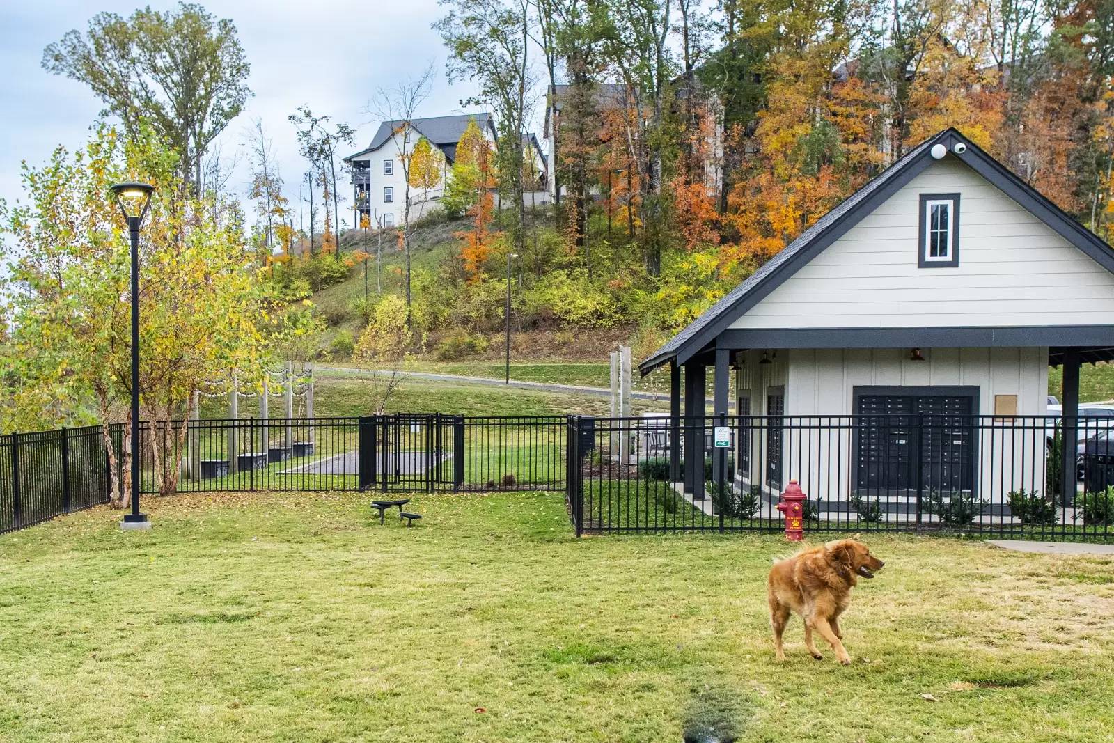 Property Image 17