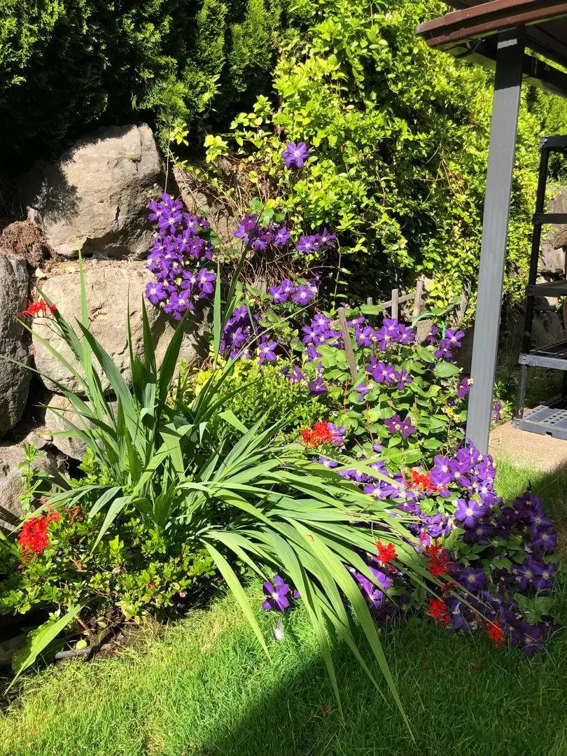 Property Image 62