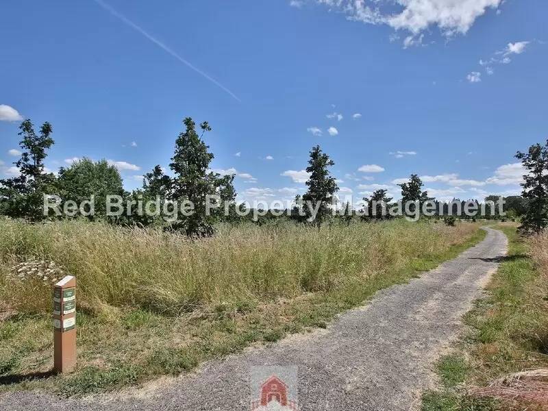 Property Image 54