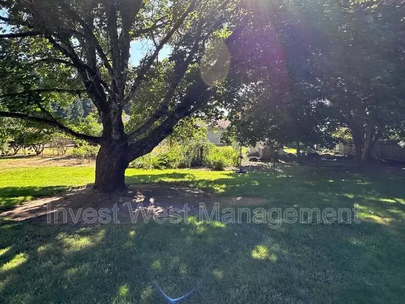 Property Image 67