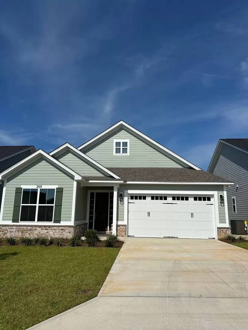 cover background
