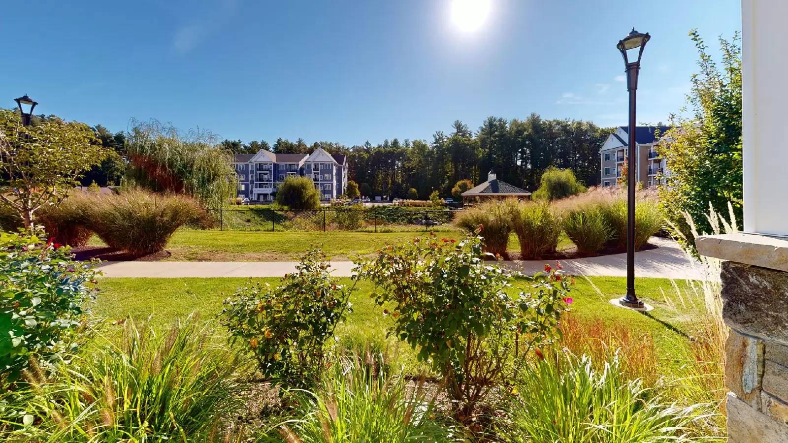cover background
