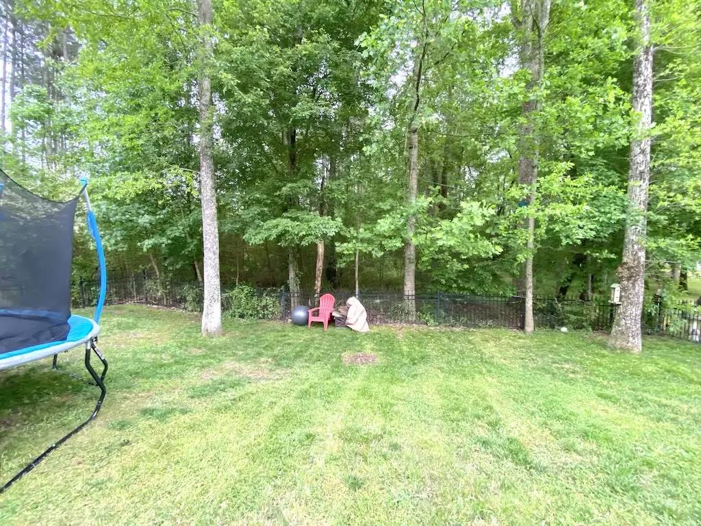 Property Image 42