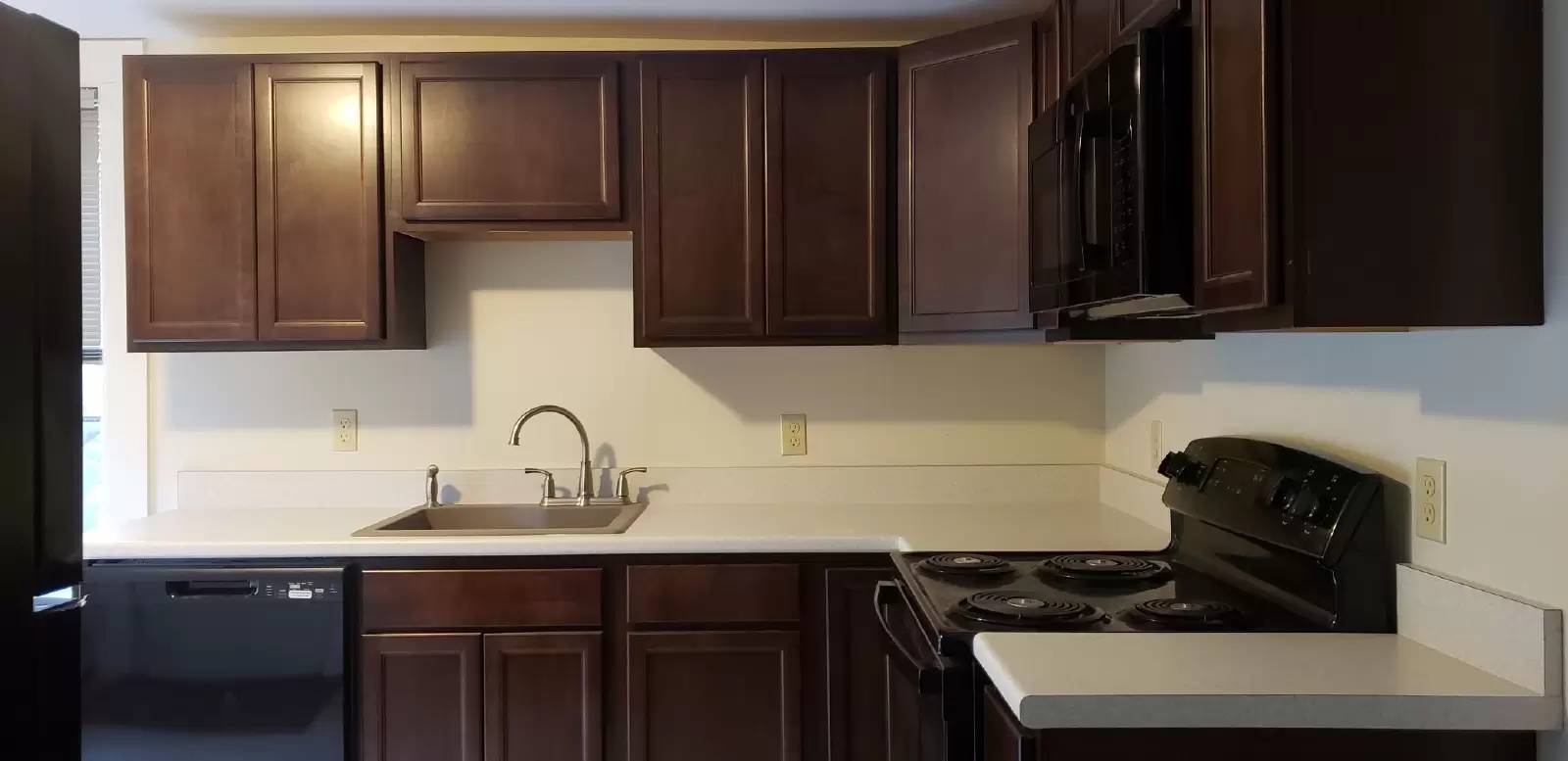 cover background
