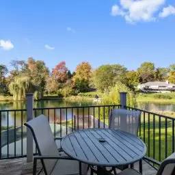 cover background
