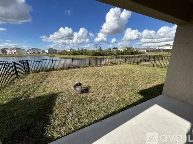 Property Image 36