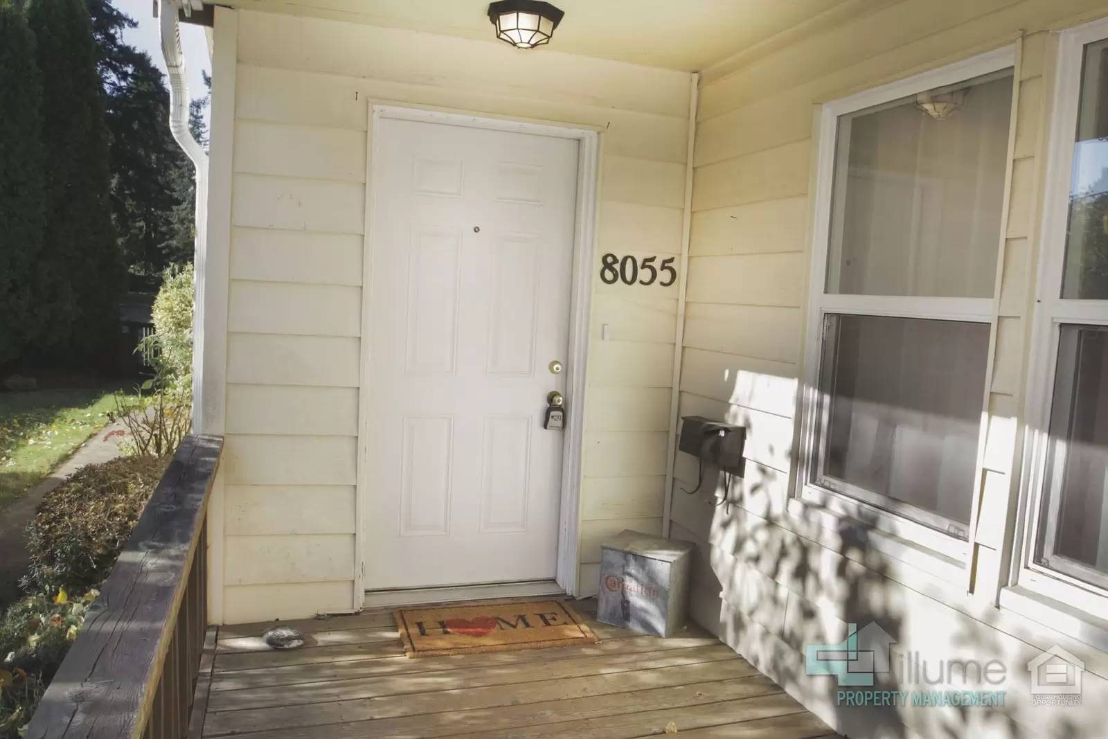 cover background