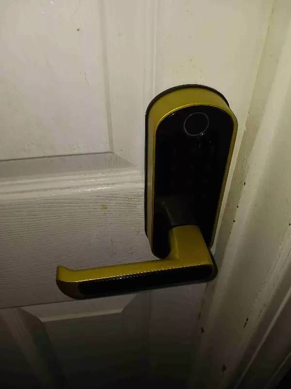 Property Image 12
