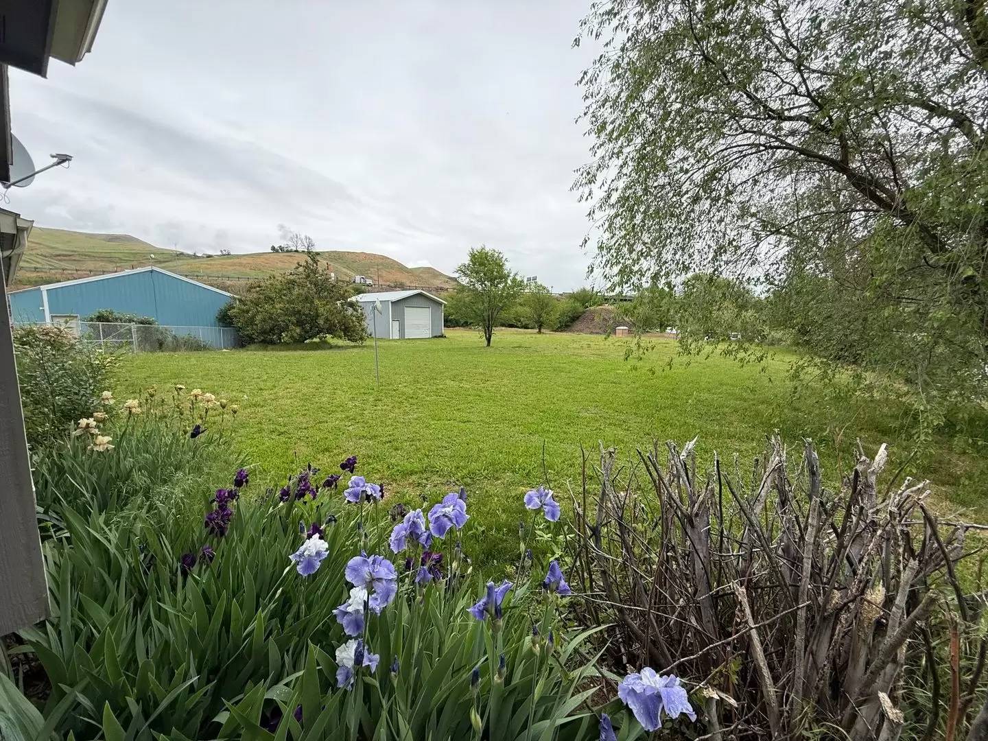 Property Image 41