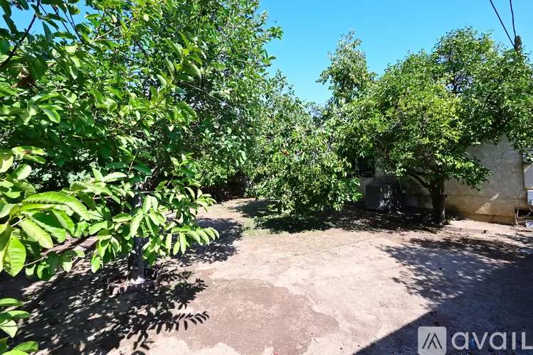 Property Image 61