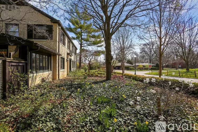Property Image 81