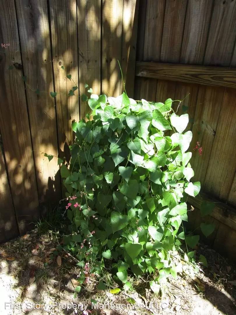 Property Image 59