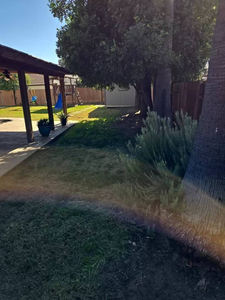 Property Image 60