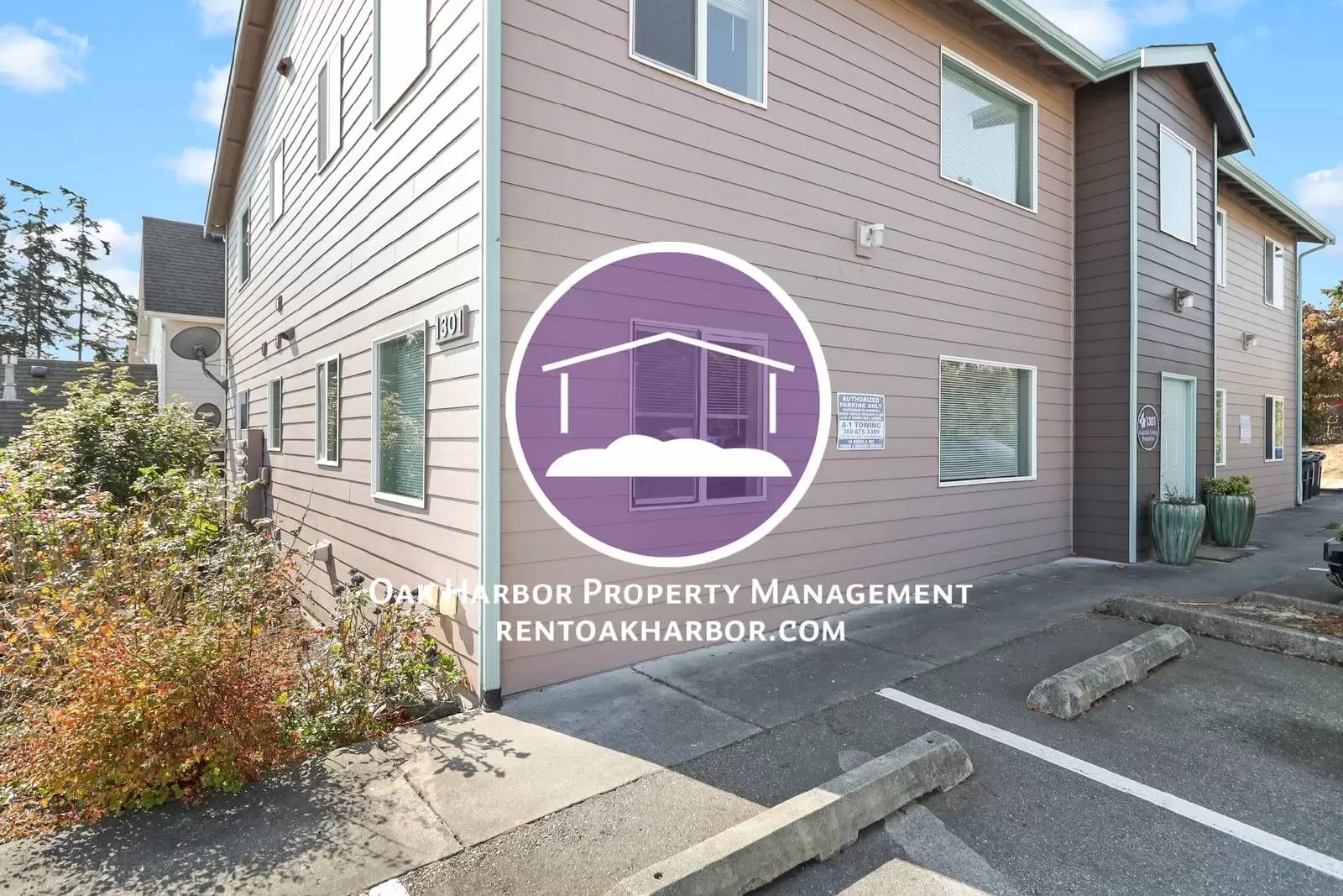 cover background