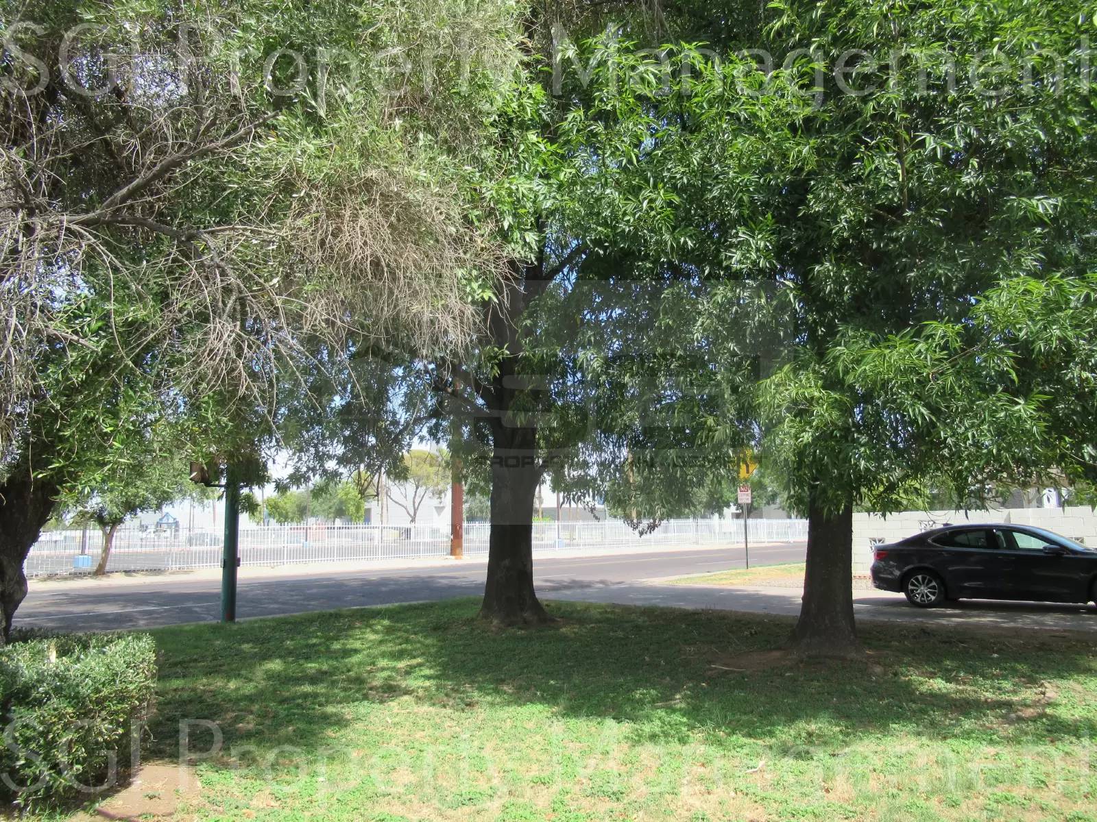 Property Image 18