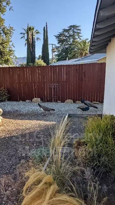 Property Image 62