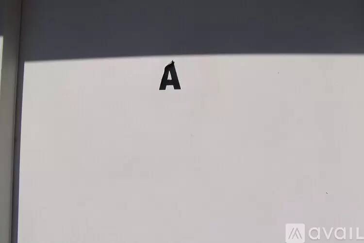cover background