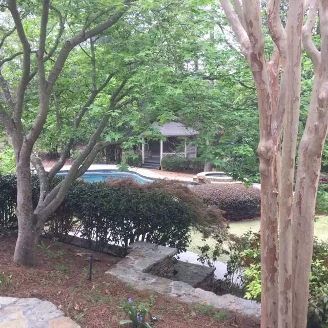 Property Image 101