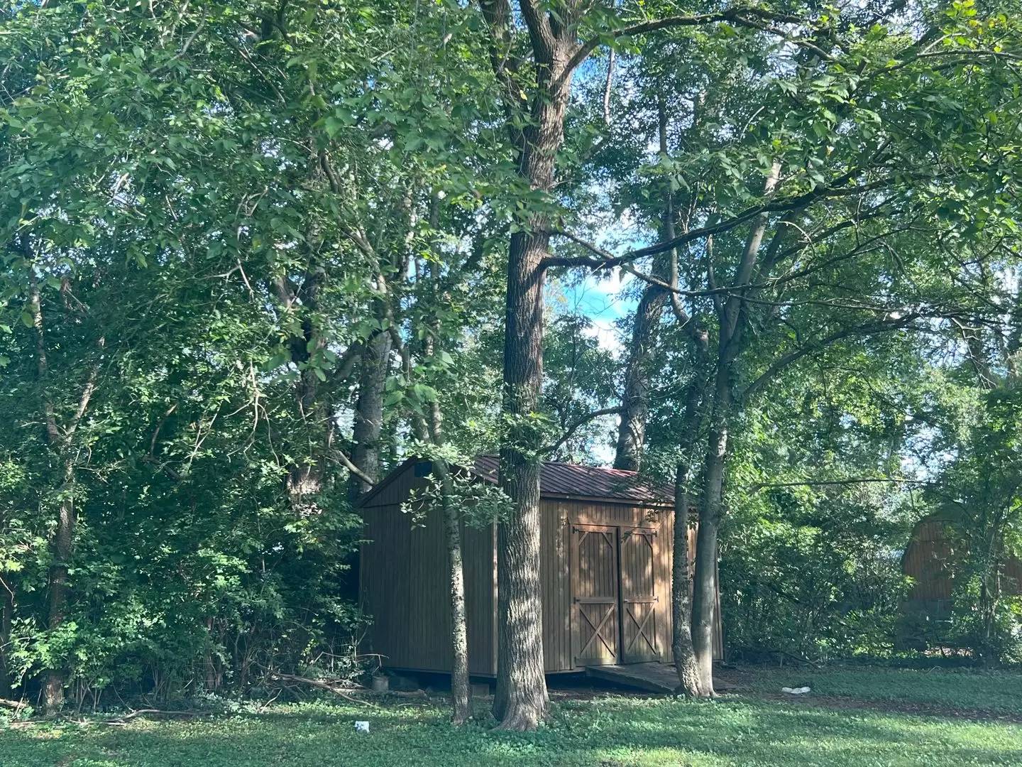 Property Image 11