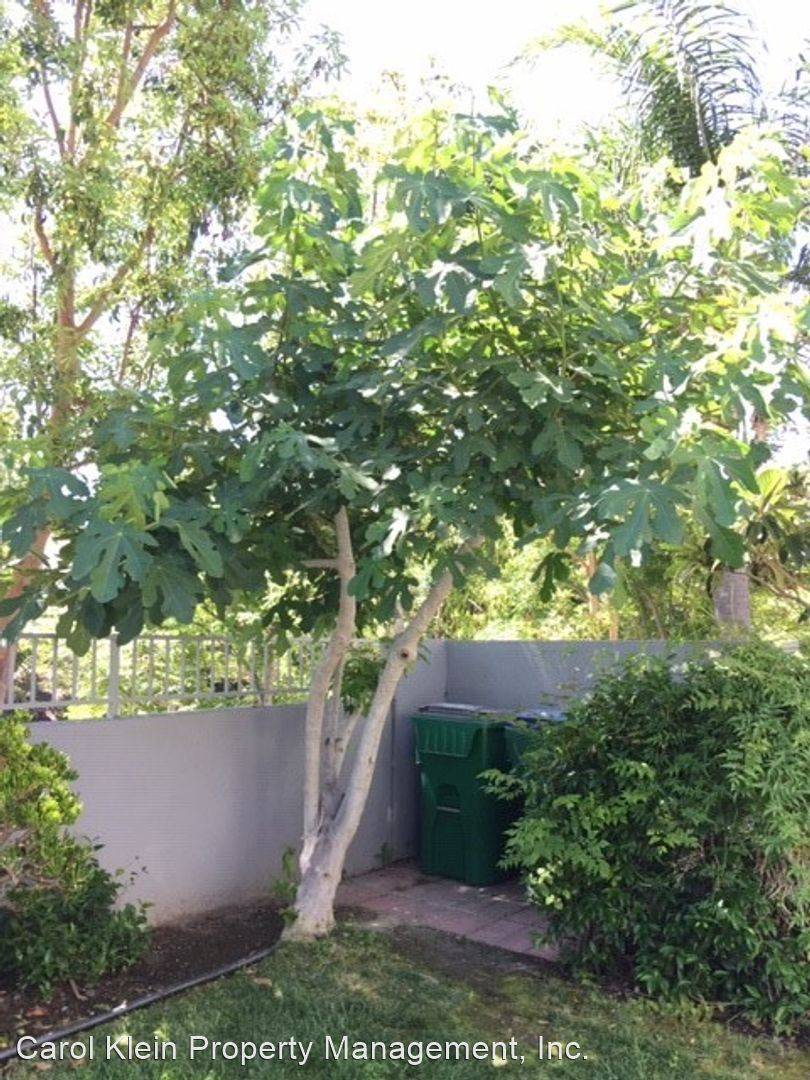 Property Image 68