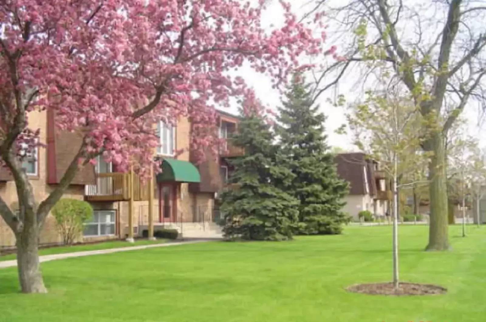 Property Image 5
