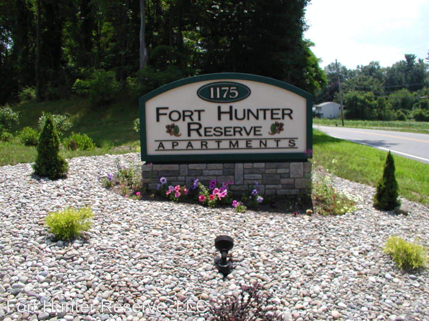 cover background