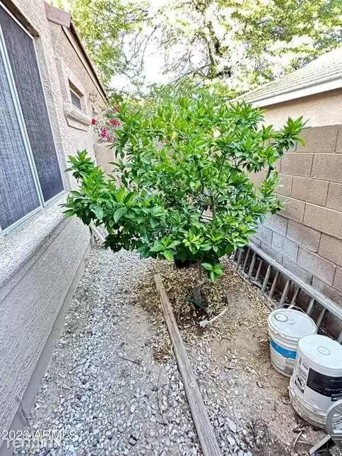 Property Image 79