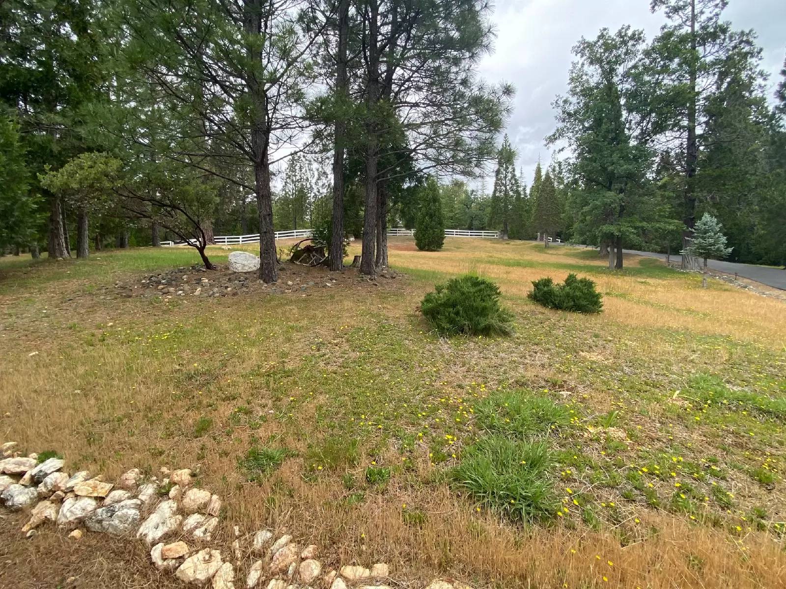 Property Image 53